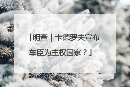 明查｜卡德罗夫宣布车臣为主权国家？
