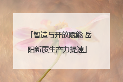 智造与开放赋能 岳阳新质生产力提速
