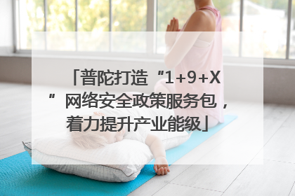 普陀打造“1+9+X”网络安全政策服务包，着力提升产业能级