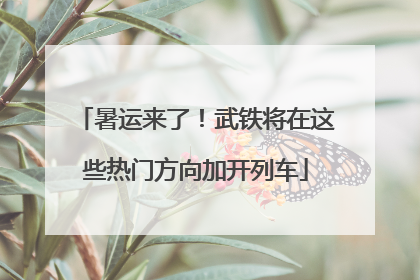 暑运来了！武铁将在这些热门方向加开列车
