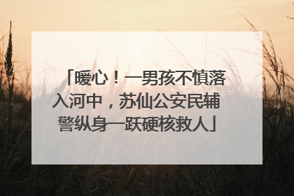 暖心！一男孩不慎落入河中，苏仙公安民辅警纵身一跃硬核救人
