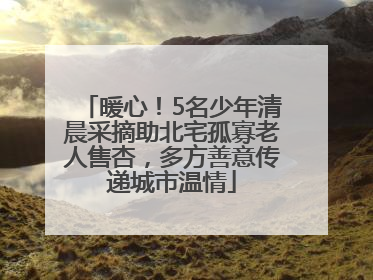 暖心！5名少年清晨采摘助北宅孤寡老人售杏，多方善意传递城市温情