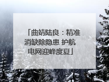 曲靖陆良：精准消缺除隐患 护航电网迎峰度夏