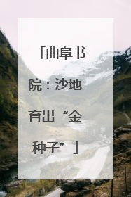 曲阜书院：沙地育出“金种子”