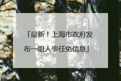 最新！上海市政府发布一组人事任免信息