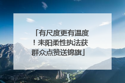 有尺度更有温度！耒阳柔性执法获群众点赞送锦旗