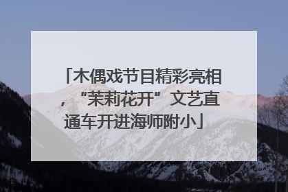 木偶戏节目精彩亮相，“茉莉花开”文艺直通车开进海师附小