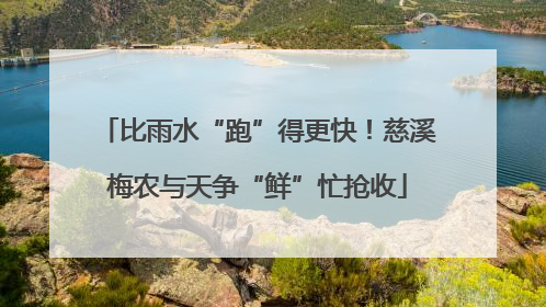 比雨水“跑”得更快！慈溪梅农与天争“鲜”忙抢收