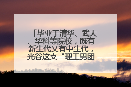 毕业于清华、武大、华科等院校，既有新生代又有中生代，光谷这支“理工男团”为何“出道”？