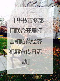 毕节市多部门联合开展打击和防范经济犯罪宣传日活动