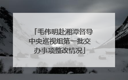 毛伟明赴湘潭督导中央巡视组第一批交办事项整改情况