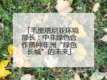 毛里塔尼亚环境部长：中非绿色合作播种非洲“绿色长城”的未来