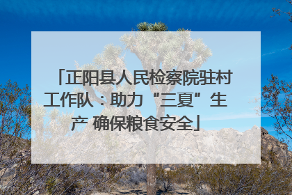 正阳县人民检察院驻村工作队：助力“三夏”生产 确保粮食安全