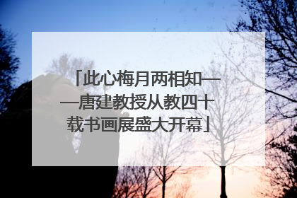此心梅月两相知——唐建教授从教四十载书画展盛大开幕