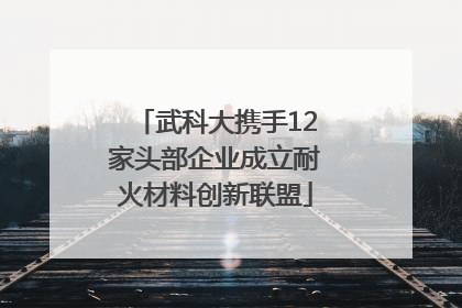 武科大携手12家头部企业成立耐火材料创新联盟