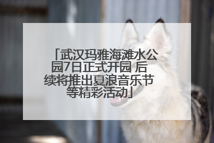 武汉玛雅海滩水公园7日正式开园 后续将推出夏浪音乐节等精彩活动