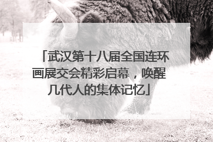 武汉第十八届全国连环画展交会精彩启幕，唤醒几代人的集体记忆
