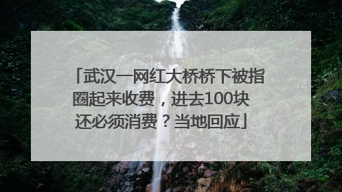 武汉一网红大桥桥下被指圈起来收费，进去100块还必须消费？当地回应