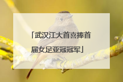武汉江大首喜捧首届女足亚冠冠军