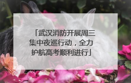 武汉消防开展周三集中夜巡行动，全力护航高考顺利进行