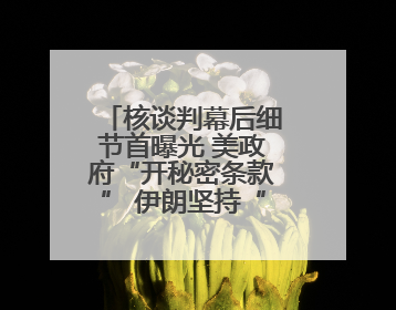 核谈判幕后细节首曝光 美政府“开秘密条款” 伊朗坚持“三大底线”