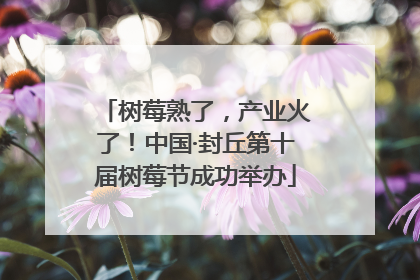 树莓熟了，产业火了！中国·封丘第十届树莓节成功举办