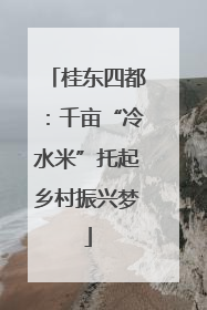 桂东四都：千亩“冷水米”托起乡村振兴梦