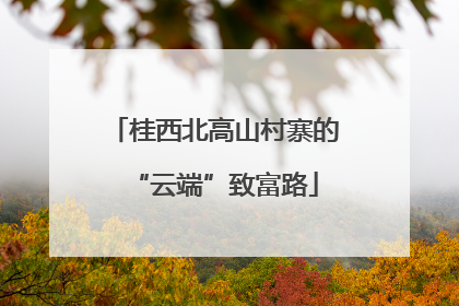 桂西北高山村寨的“云端”致富路