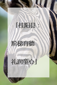 桂阳县：阶梯育德 礼润童心