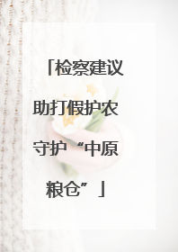 检察建议助打假护农守护“中原粮仓”