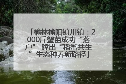 榆林榆阳镇川镇：2000斤蟹苗成功“落户” 蹚出“稻蟹共生”生态种养新路径