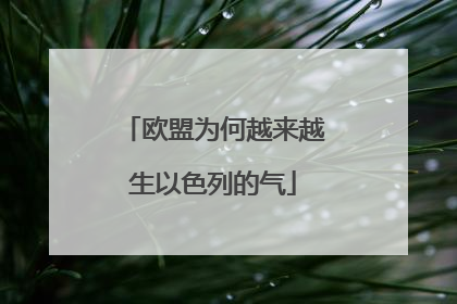 欧盟为何越来越生以色列的气
