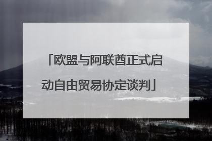 欧盟与阿联酋正式启动自由贸易协定谈判