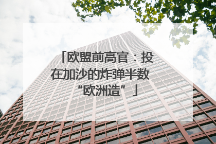 欧盟前高官：投在加沙的炸弹半数“欧洲造”