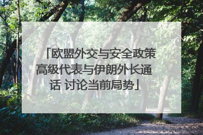 欧盟外交与安全政策高级代表与伊朗外长通话 讨论当前局势