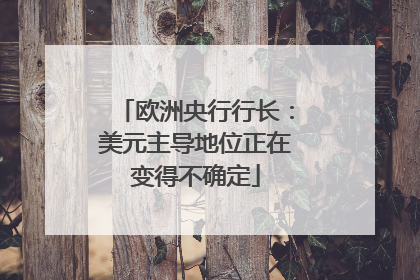 欧洲央行行长：美元主导地位正在变得不确定