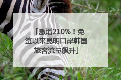 激增210%！免签以来昆明口岸韩国旅客流量飙升