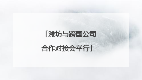 潍坊与跨国公司合作对接会举行
