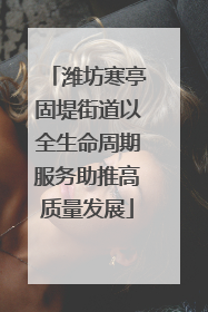 潍坊寒亭固堤街道以全生命周期服务助推高质量发展
