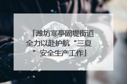 潍坊寒亭固堤街道全力以赴护航“三夏”安全生产工作