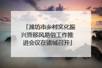 潍坊市乡村文化振兴暨移风易俗工作推进会议在诸城召开
