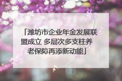 潍坊市企业年金发展联盟成立 多层次多支柱养老保障再添新动能