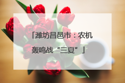 潍坊昌邑市：农机轰鸣战“三夏”