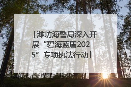 潍坊海警局深入开展“碧海蓝盾2025”专项执法行动