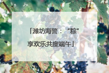 潍坊海警：“粽”享欢乐共度端午