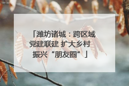 潍坊诸城：跨区域党建联建 扩大乡村振兴“朋友圈”