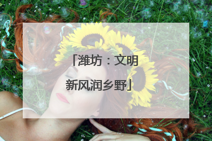 潍坊：文明新风润乡野