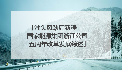 潮头风劲启新程——国家能源集团浙江公司五周年改革发展综述