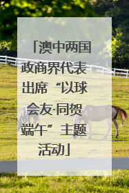 澳中两国政商界代表出席“以球会友·同贺端午”主题活动
