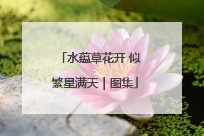 水蕴草花开 似繁星满天｜图集